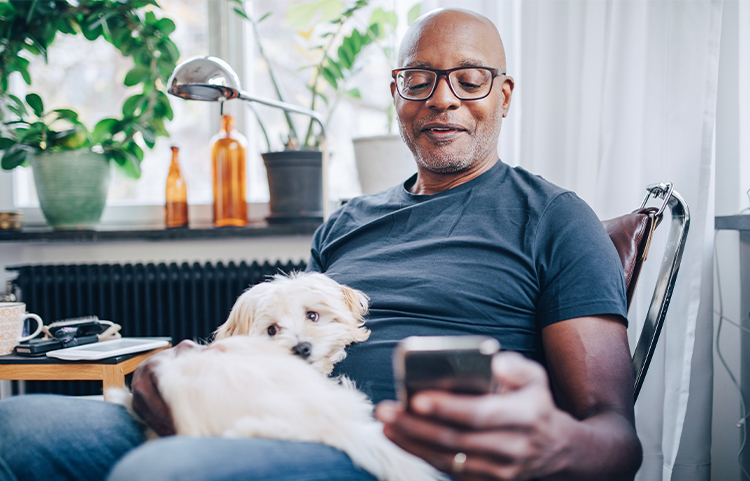 Personne assise sur une chaise avec un chien sur les genoux, regardant son téléphone